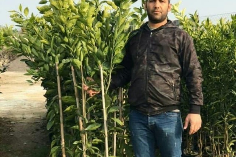 مرکز تولید و فروش انواع نهال مرکبات